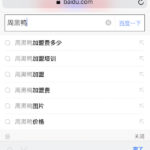 中国語での検索結果